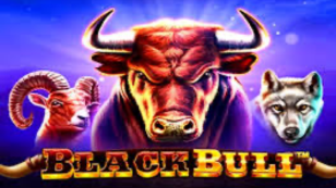 Black Bull